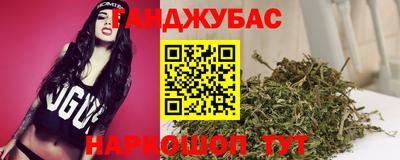 индика Гусь-Хрустальный